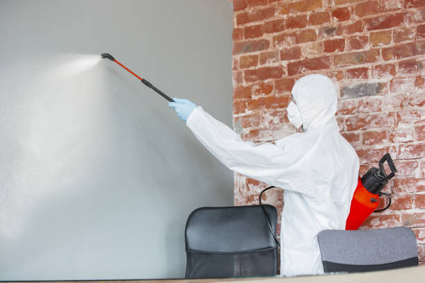Best Mold Removal for HVAC Installations  in Dewey Humboldt, AZ