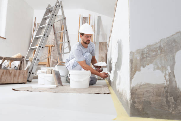 Best Forensic Mold Investigation  in Dewey Humboldt, AZ