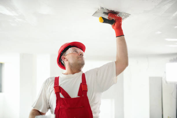 Professional Mold Removal in Dewey Humboldt, AZ